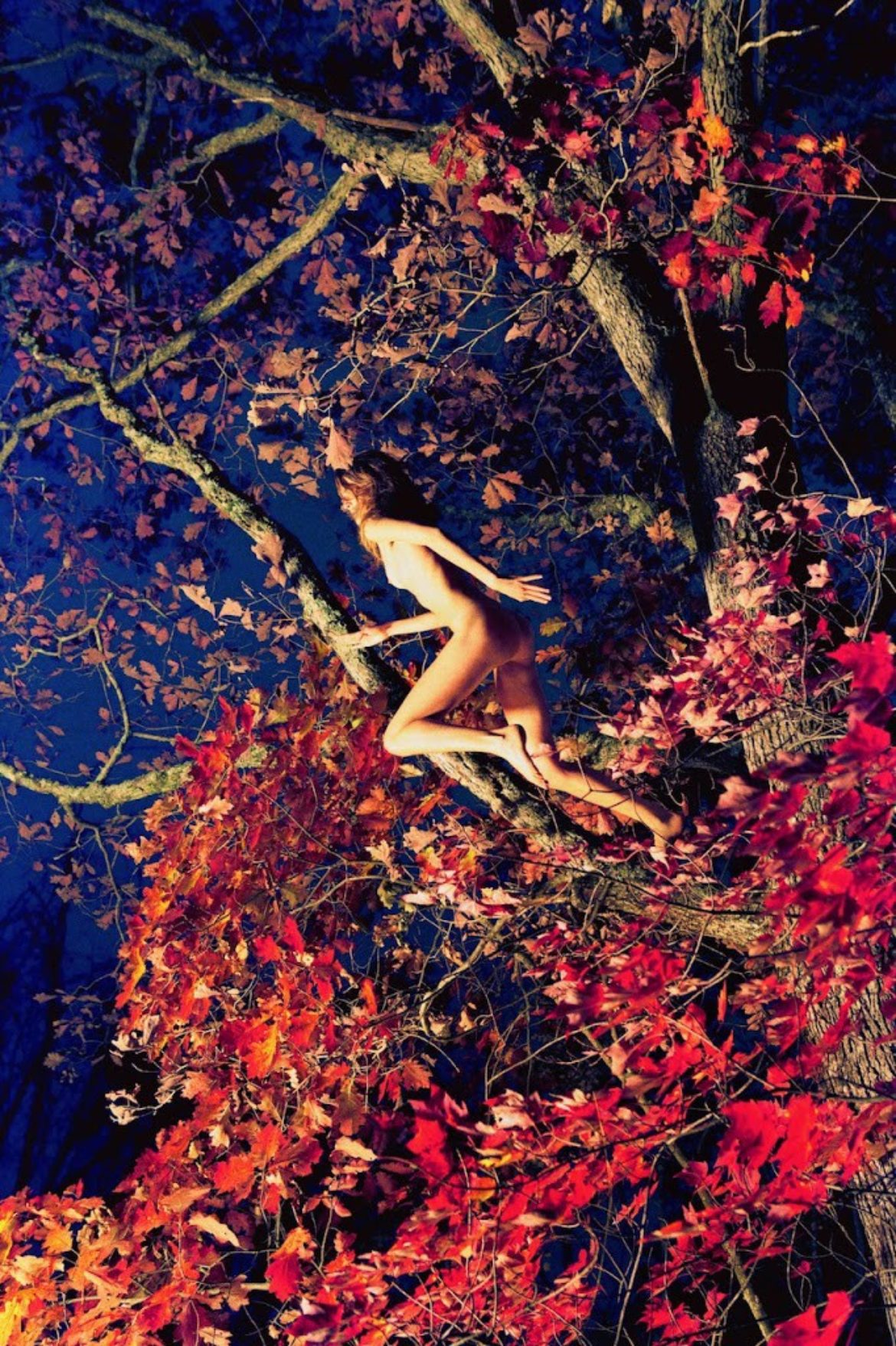 Men’s Week – Ryan Mcginley